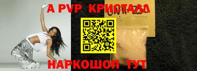 хмурый Кингисепп