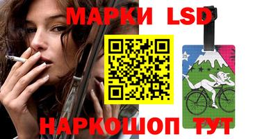 хмурый Кингисепп
