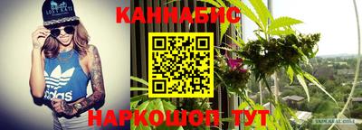 хмурый Кингисепп