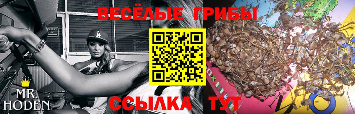 Шебекино  Галлюциногенные грибы ЛСД  Вход с VPN 